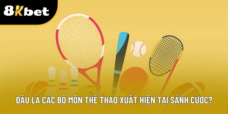 Đâu là các bộ môn thể thao xuất hiện tại sảnh cược?
